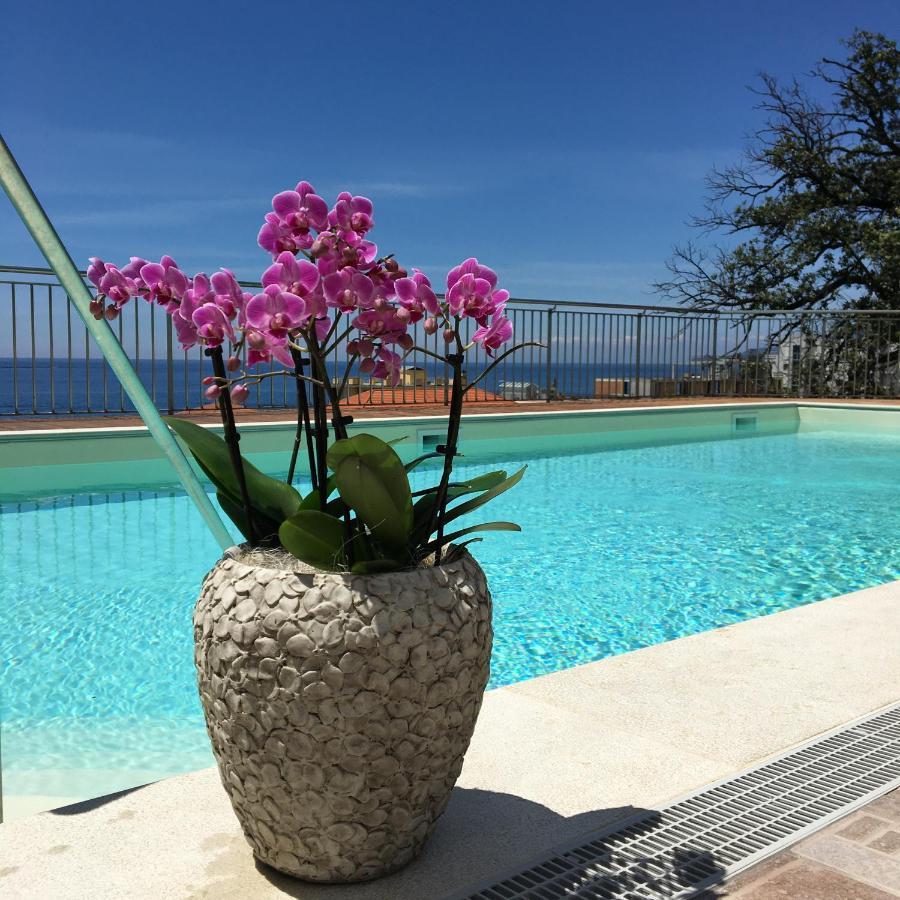 Hotel Mediterraneo كافي دي لافانيا المظهر الخارجي الصورة