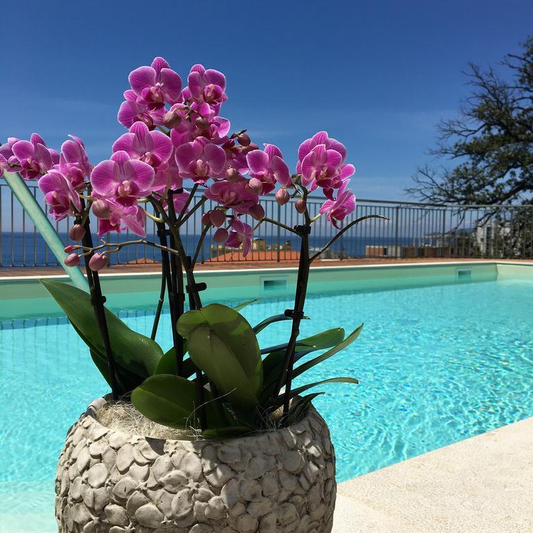 Hotel Mediterraneo كافي دي لافانيا المظهر الخارجي الصورة